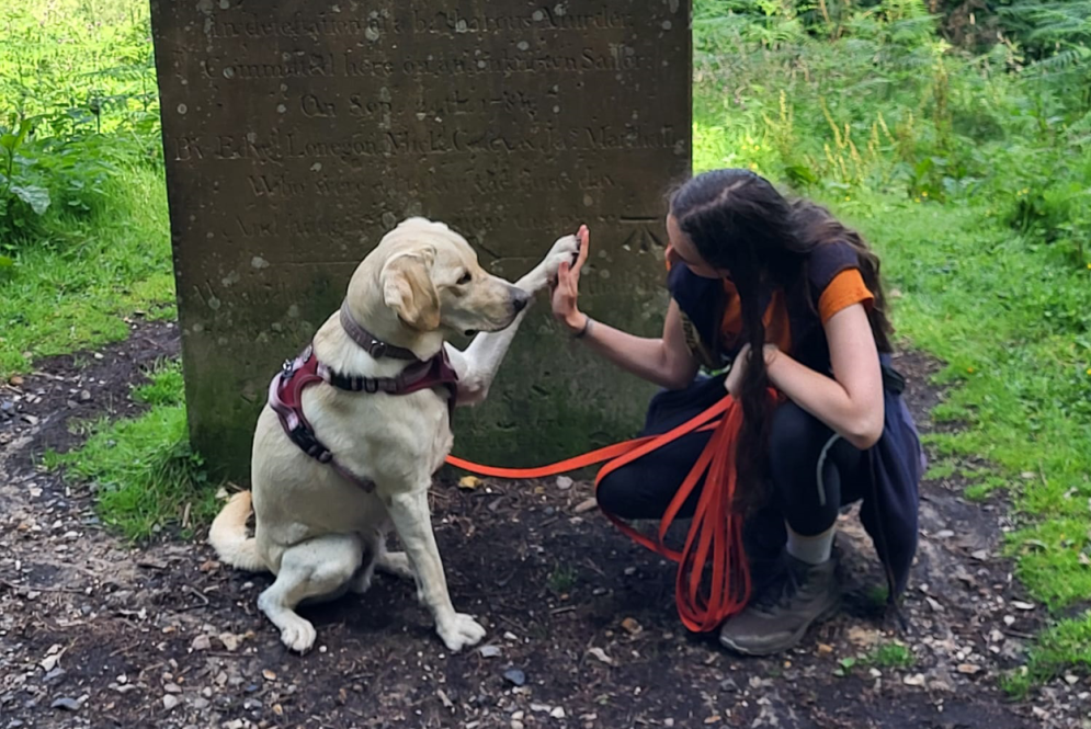 Amy hi-fiving a white labrador